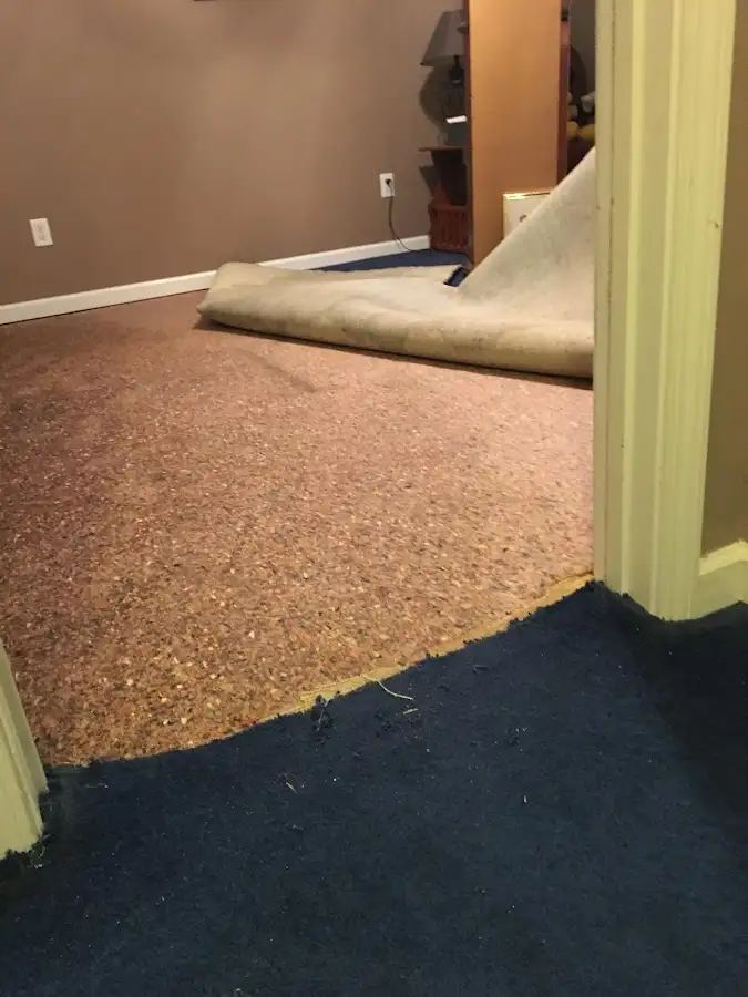 Carpet pad removal revealing water damage during Water Mitigation Services in Aurora